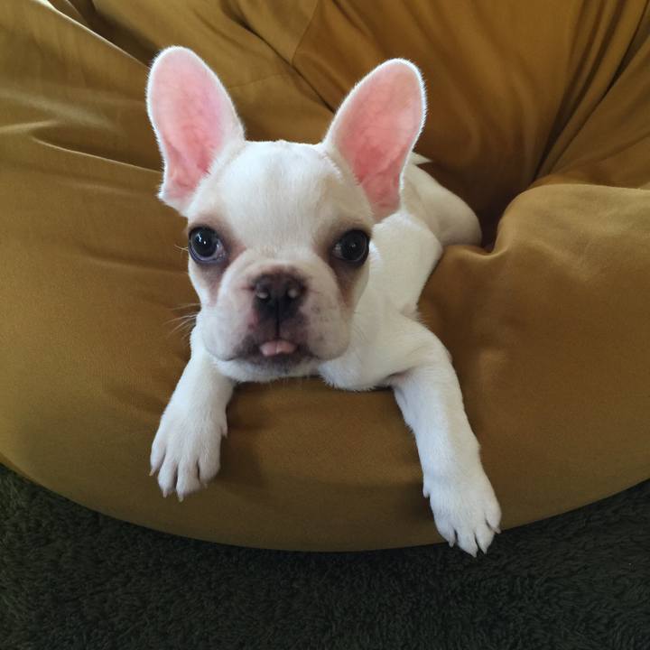 92184292 088b 4105 974f a191b3860336