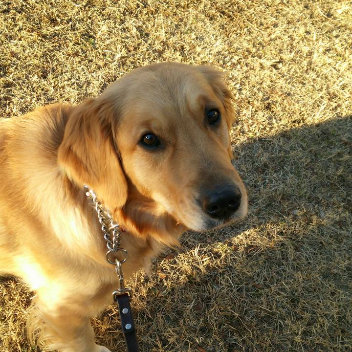 92190512 5b9f 457c 9010 77ee050f7ad8