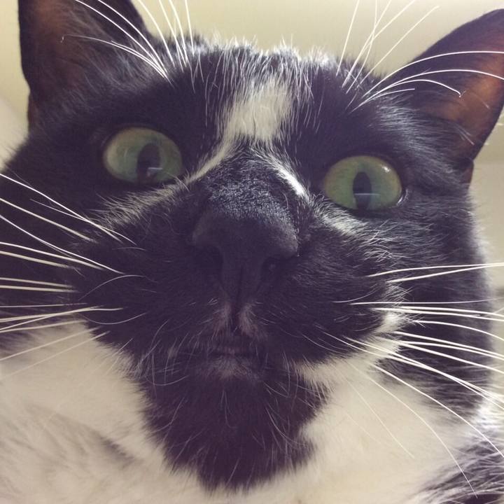 92197e2b 4843 48f4 9154 7c04ff5dc4f5