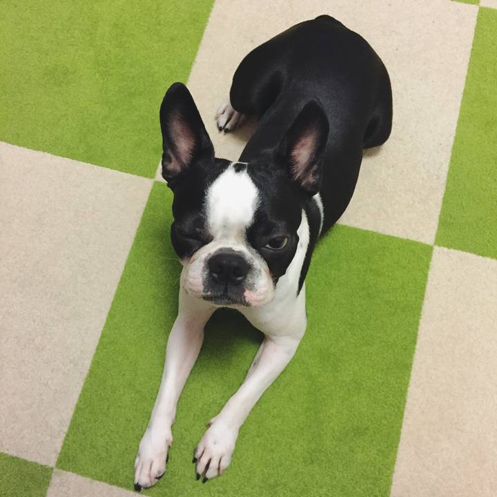 9219ed9d 4f07 4359 b764 66370322192b