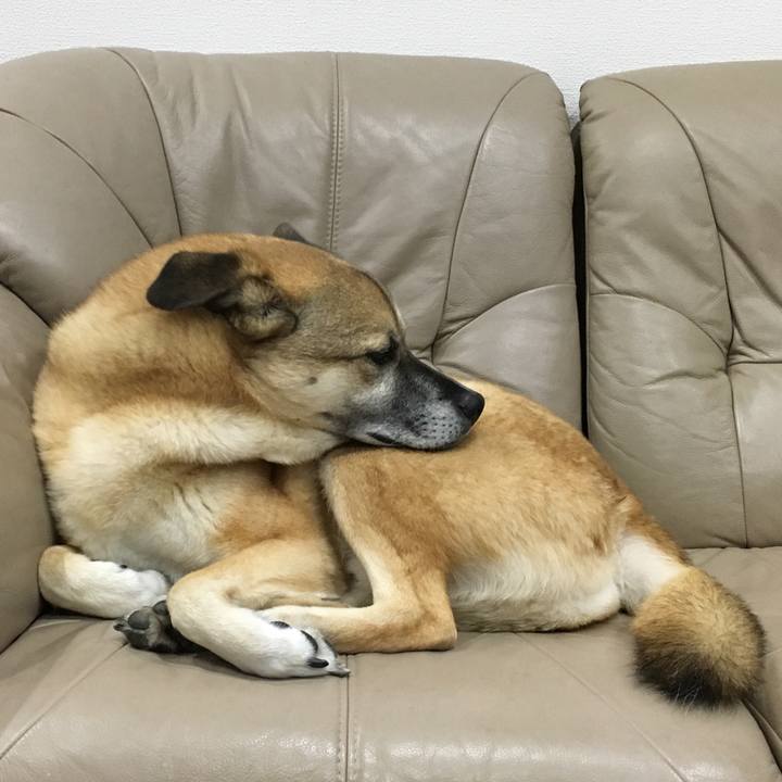 921a2852 b82f 4e04 9140 0c540195e27b