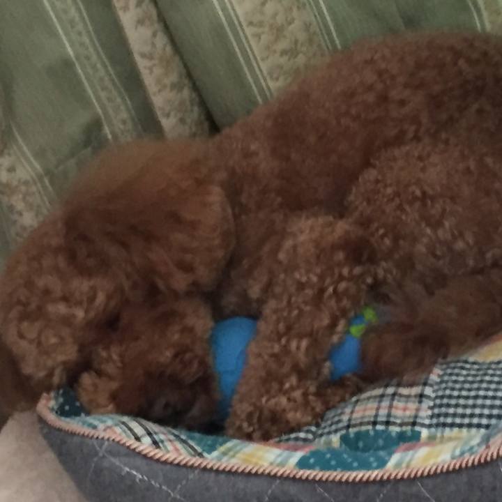 921a32bd 7701 4723 ad37 cdd4ef604498