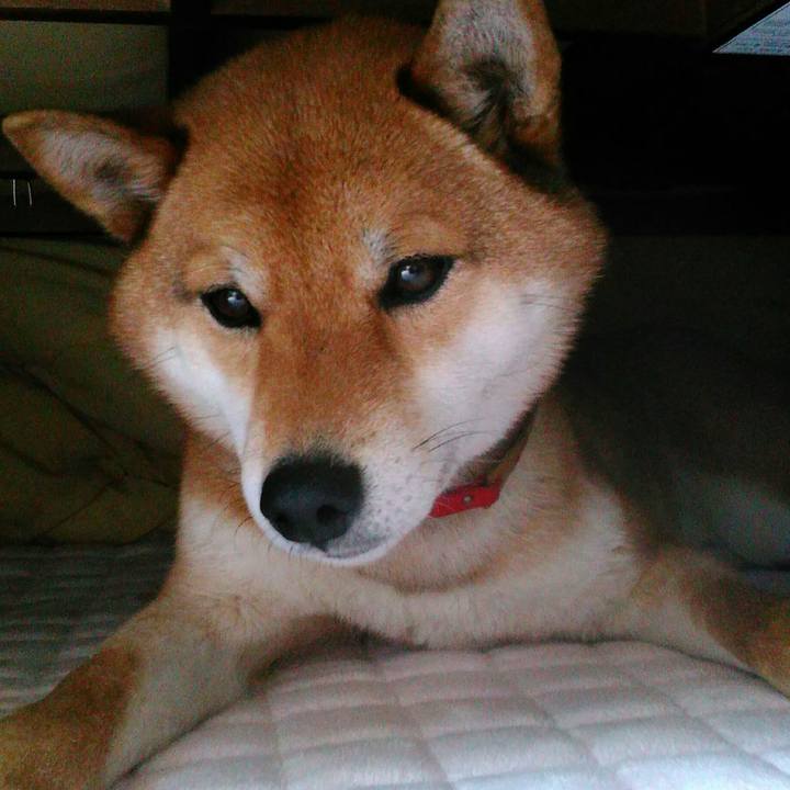 921a7f01 bb44 4435 bba8 0378f1e0a7dd