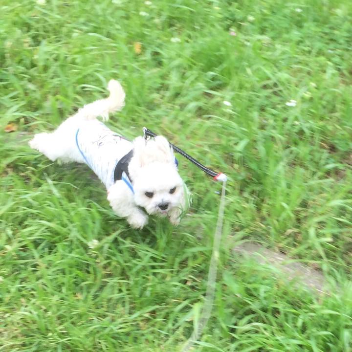 921b73c6 e972 4db3 9f40 083fb20f0b95