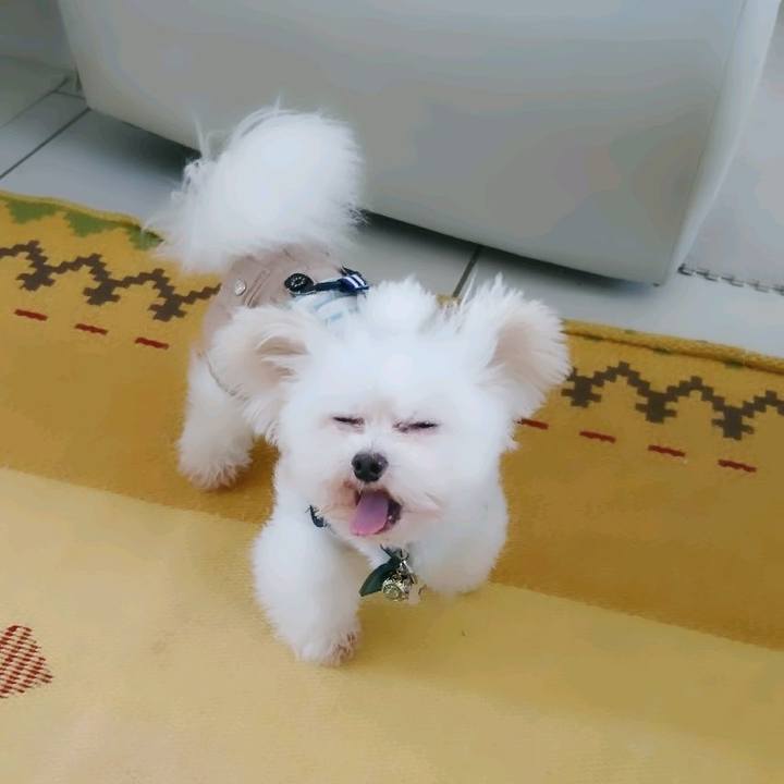 921b840e eef7 4006 b0e5 a5dc1e503d28