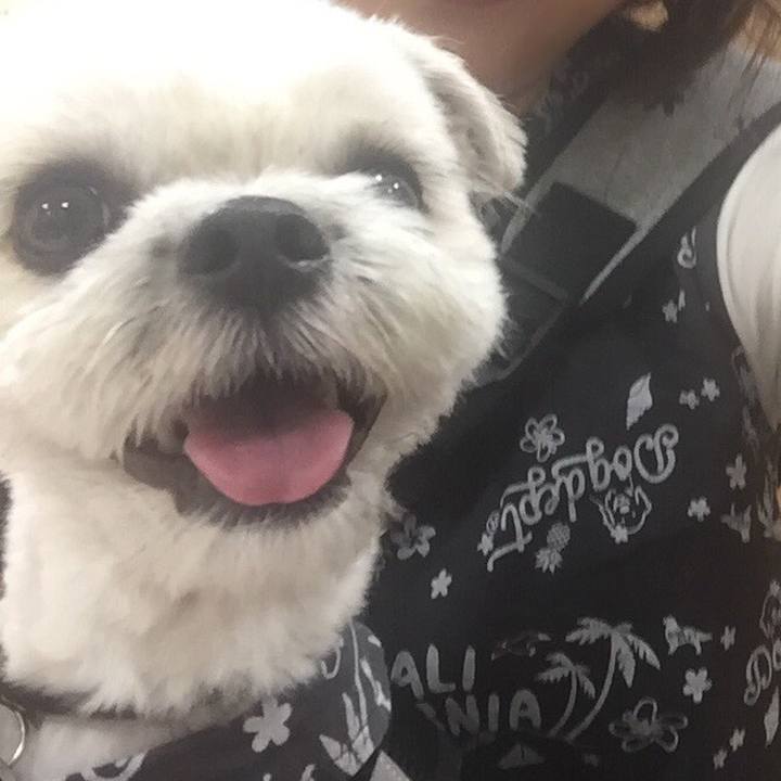 921bbd1d e145 4187 b657 08aaba3b779d