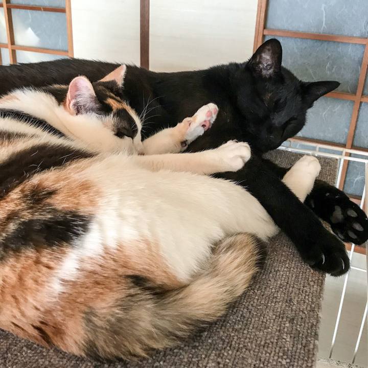 921bd6c0 109c 4d66 a699 5175b570d95e