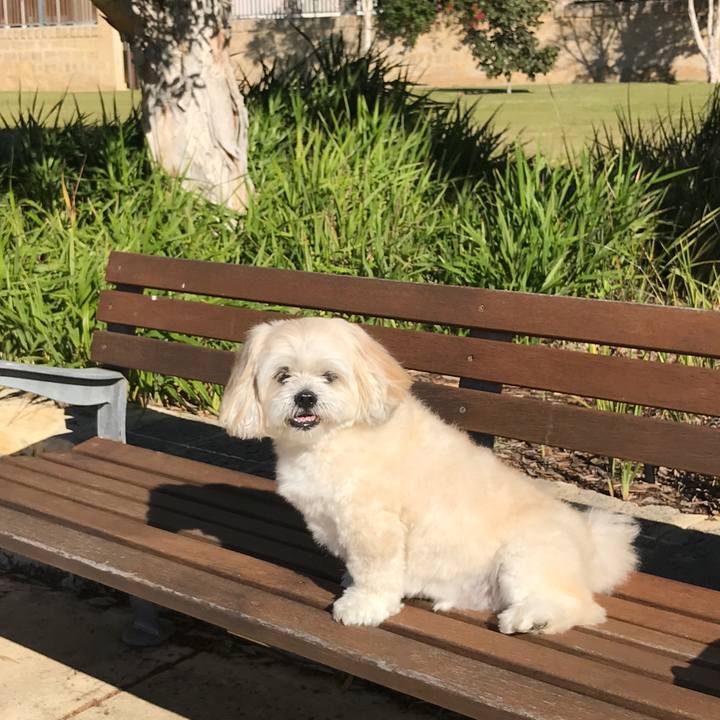 921c2b45 fe12 49ea b9bf 917fdbf7027d