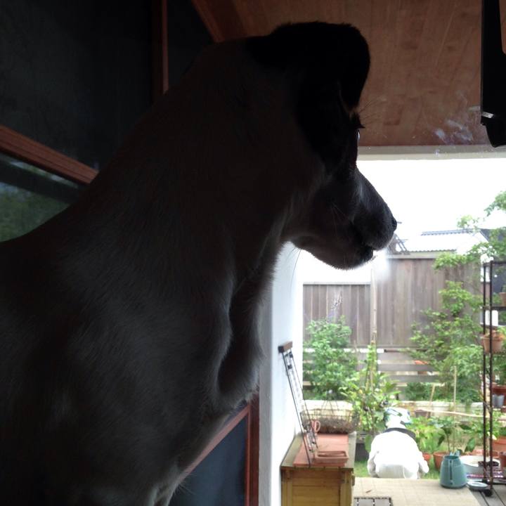 921c7991 e69d 4ae0 b1dc f90617a1c114