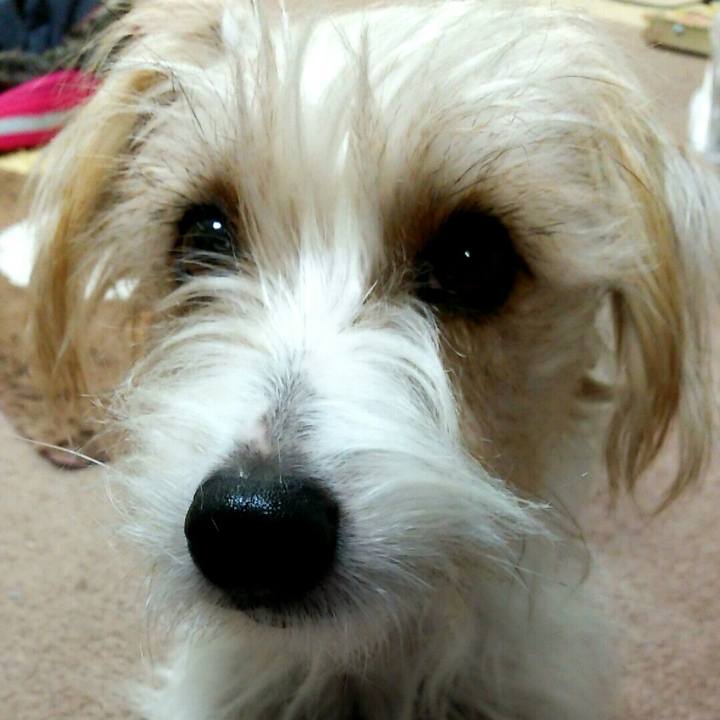 921d1aa1 a20e 4350 9695 1e637df3fbdb