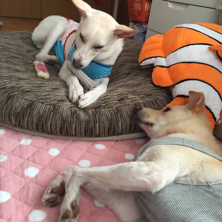 921d2e07 1f1c 4e2a be0a c99a2a0350db