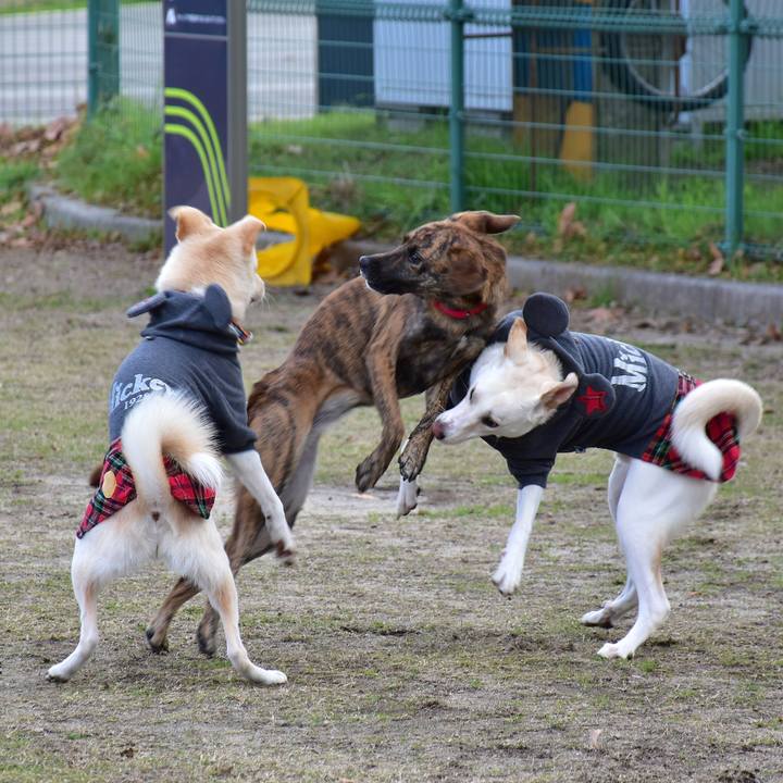 921d620e dd7d 4121 a3e7 3fcfec8a31e2