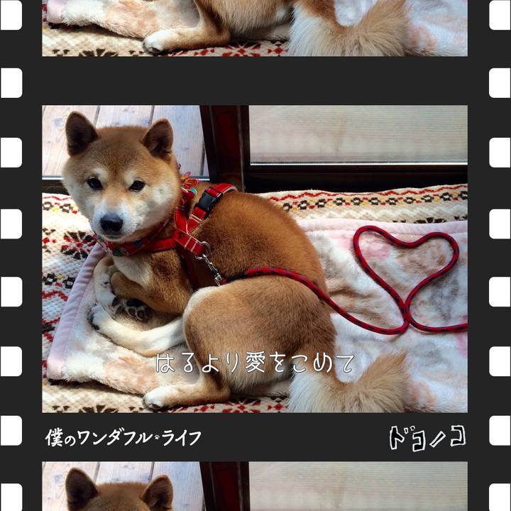 921dfe37 b5ad 4d19 9284 e77f446eabc1