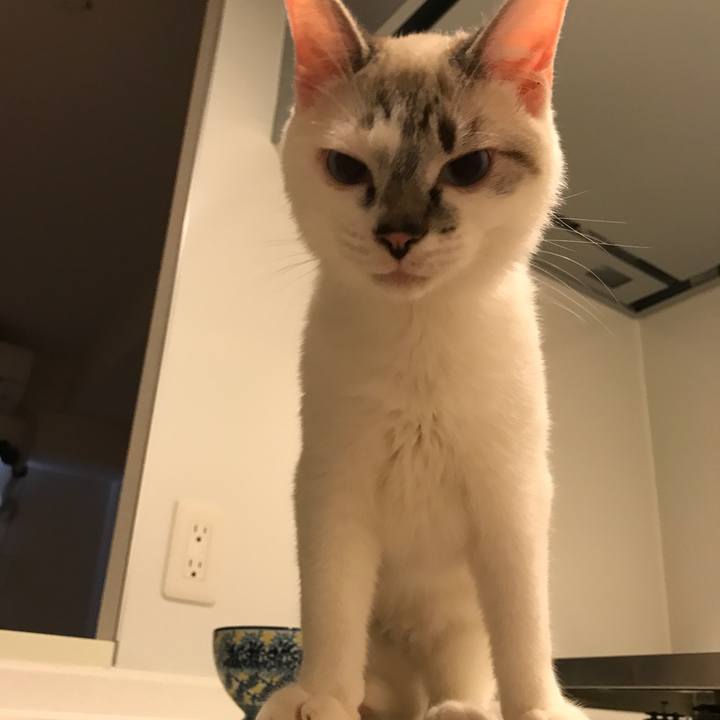 921e2783 474e 4ed7 a155 8ddeee4af453