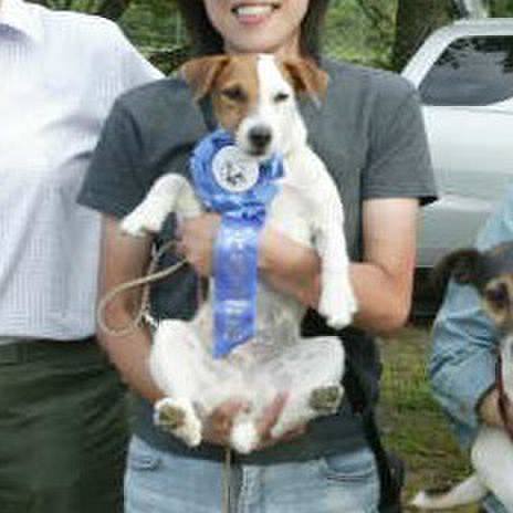 921e46aa ab58 4967 a5b1 8a1dcd98882b