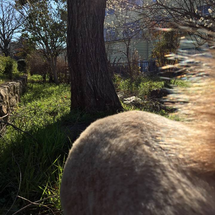 921f0202 5101 4f8a 8131 748896a54ad4