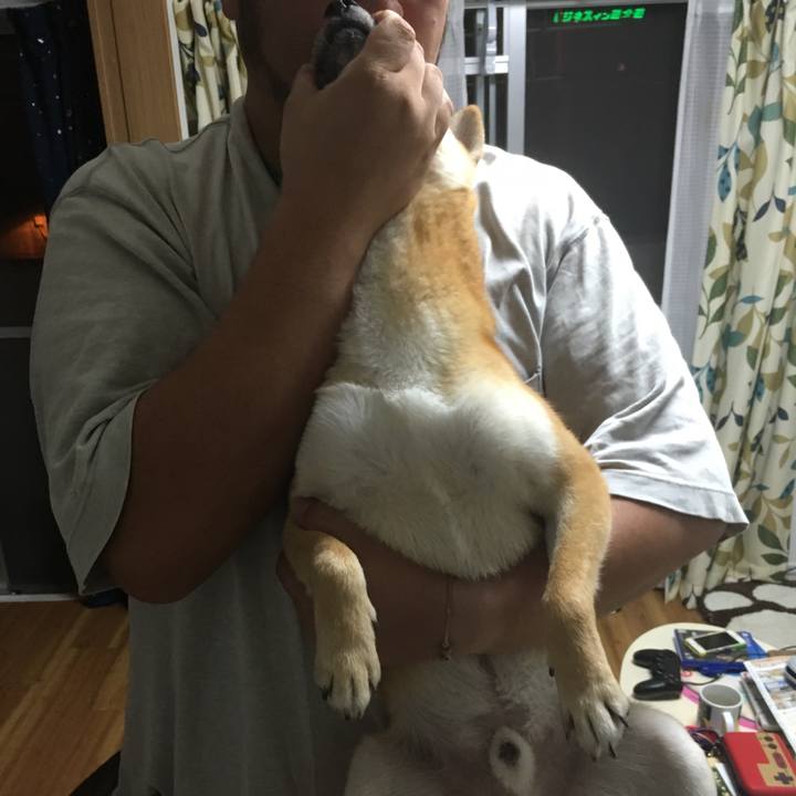 922006e4 1605 4aeb 96c5 603775ac119b