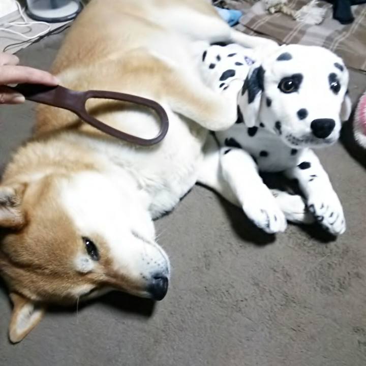 92204f48 1cd6 4849 8088 35d8fe227db2