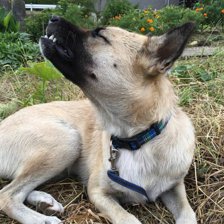 92210d26 7682 46c1 a4e9 89c6f92fcaa8