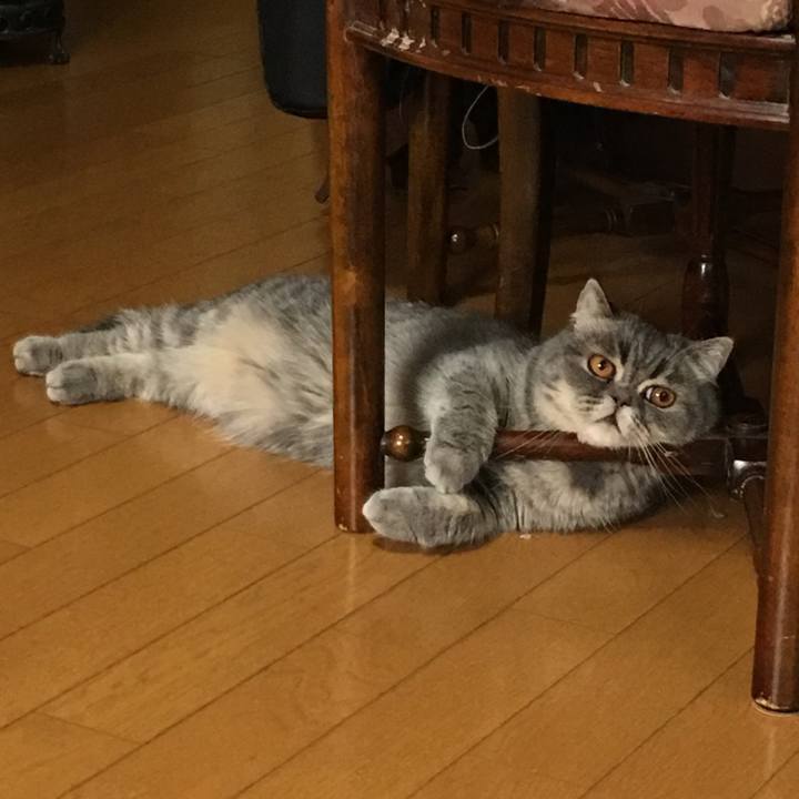 92216888 213f 40d8 ac09 4caabfd58572