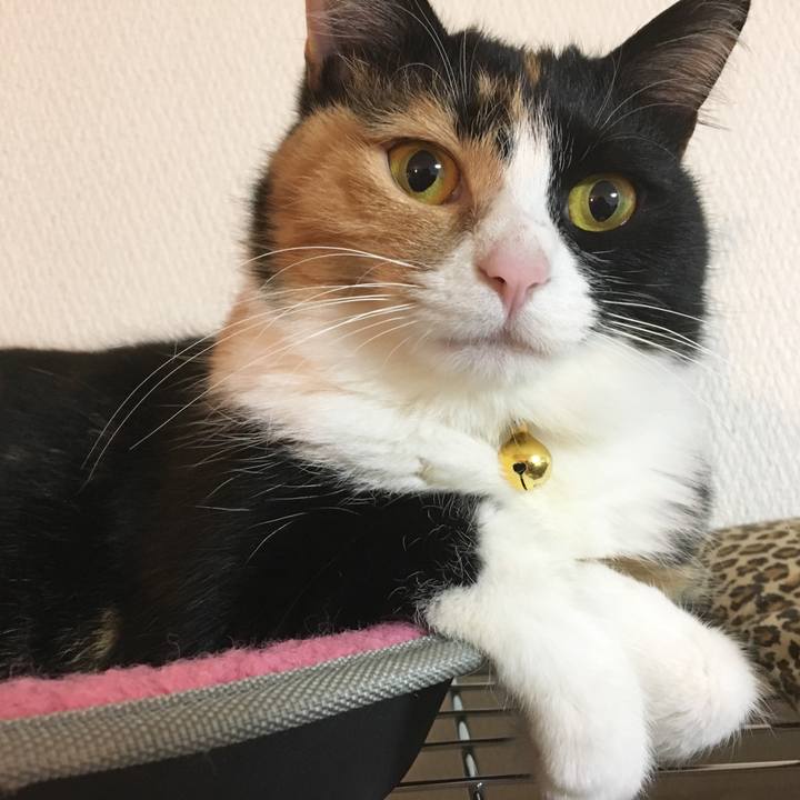 9221785b 5276 4a5f 97d7 37c0d0255380