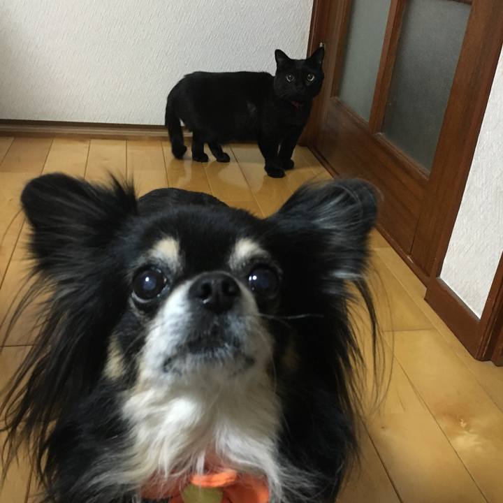 9221f16e de45 4092 9675 1afb44ac9eef