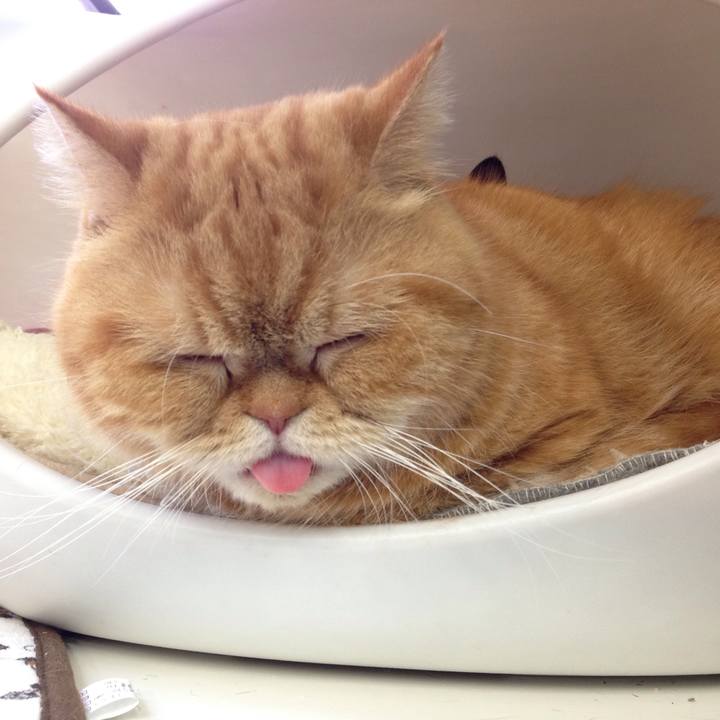 9222bde2 ce2b 4b57 9c28 8f2798622428