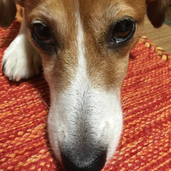 92238357 4a2e 4e54 9d9b cc6b092f8367