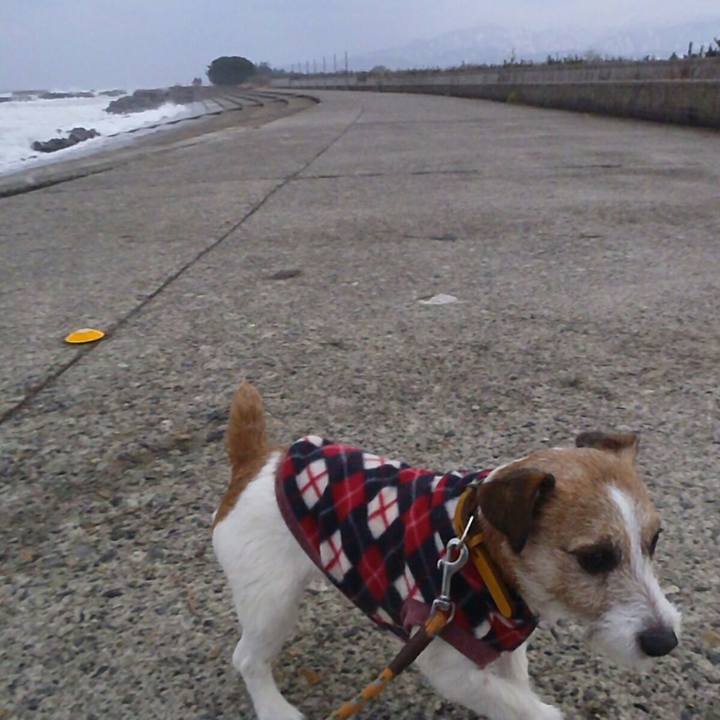 9223cf3e 38cc 4d1a 8e20 beb506f9e732