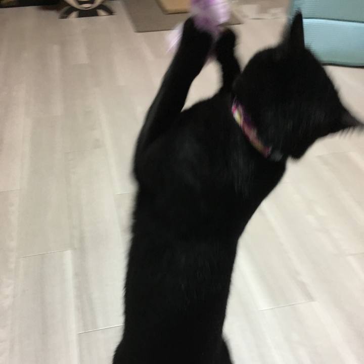 9223f4ff 78d2 4571 b2fe a35af59befe4