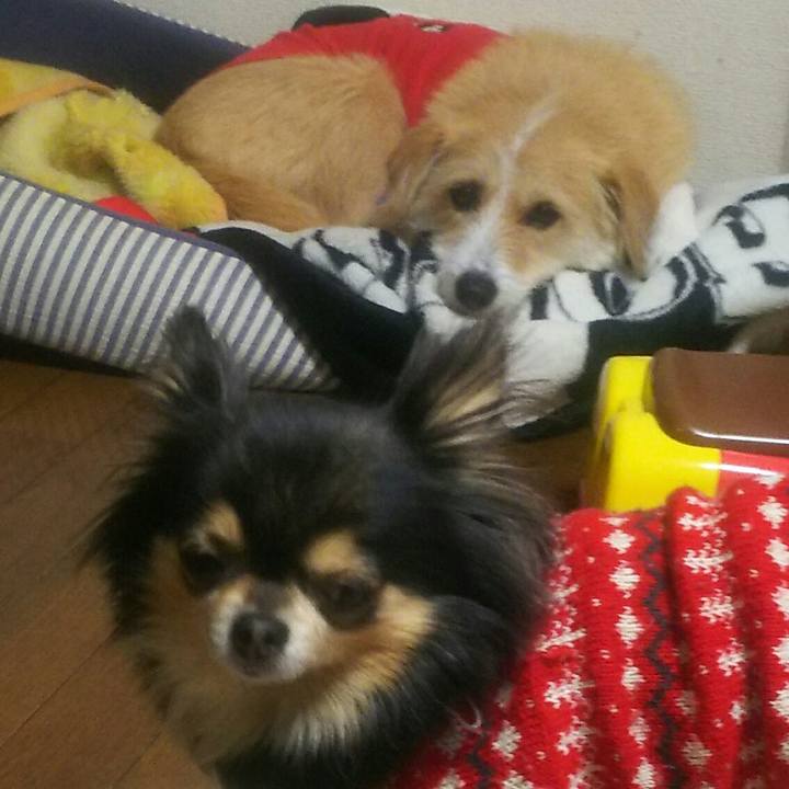 92242cff 8d64 4387 bb51 5faee9f0e878