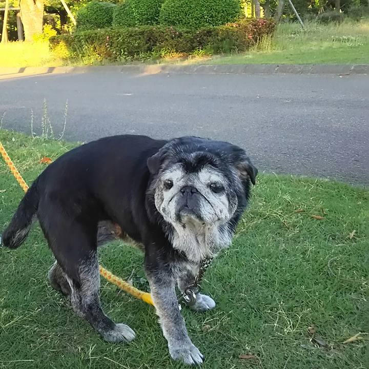 92243cdc 6258 4464 9c1b 94401a3935a1