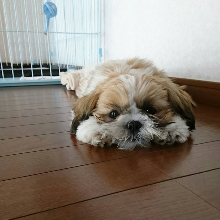 92248d86 a40c 46ed 84d3 b47246cb24da