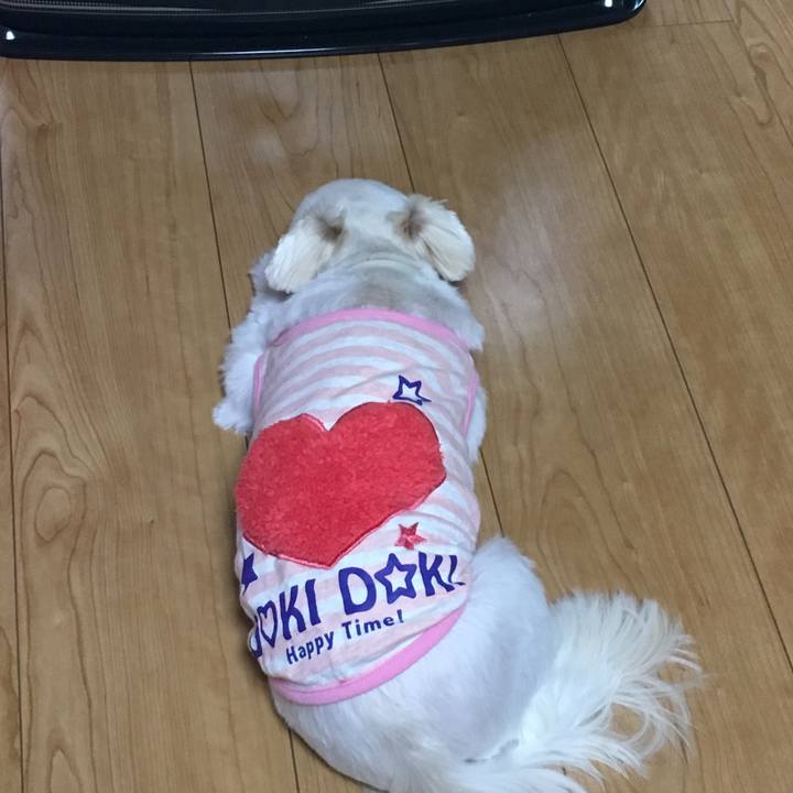 9224be69 76b2 4ce5 9830 8cf00a532514