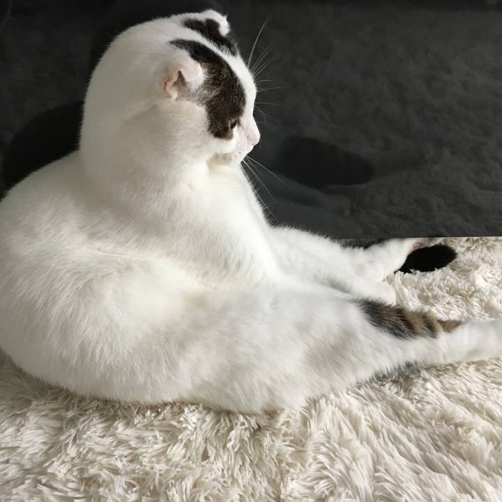 9224fe1f 9e8d 4385 a925 3454751ec50d