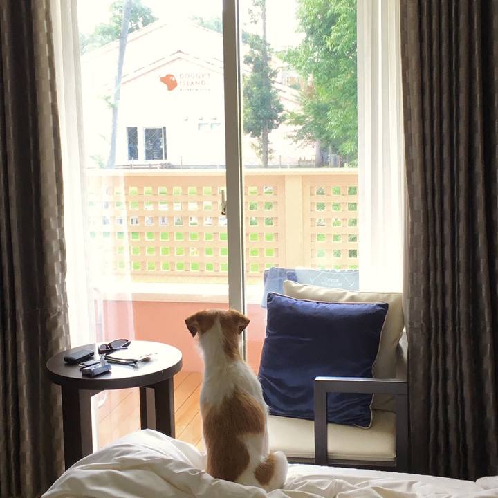 922588d7 f4e7 4d5d 82b7 fcadd40a633b