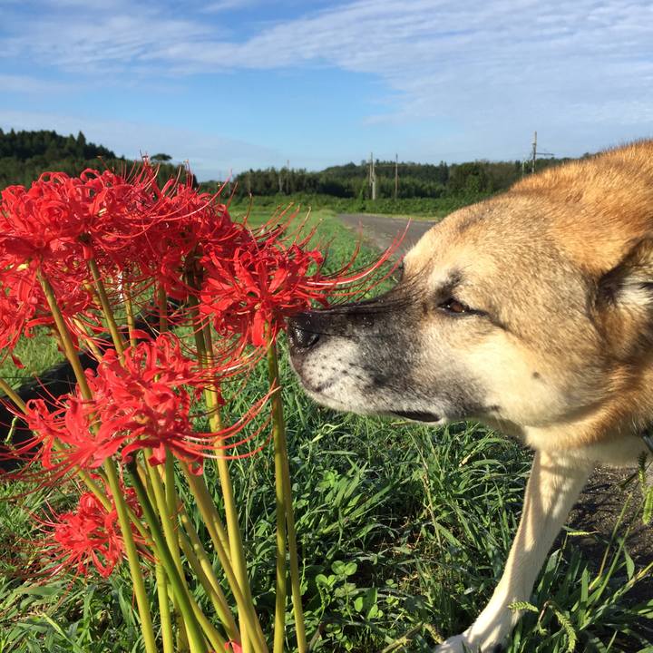 92258b15 82ac 474e bda6 61e1b9479587