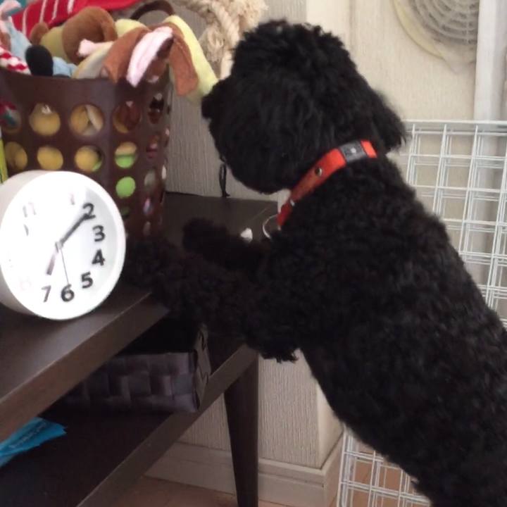 92263d4e ffc4 4661 ae7f 45709a58289c