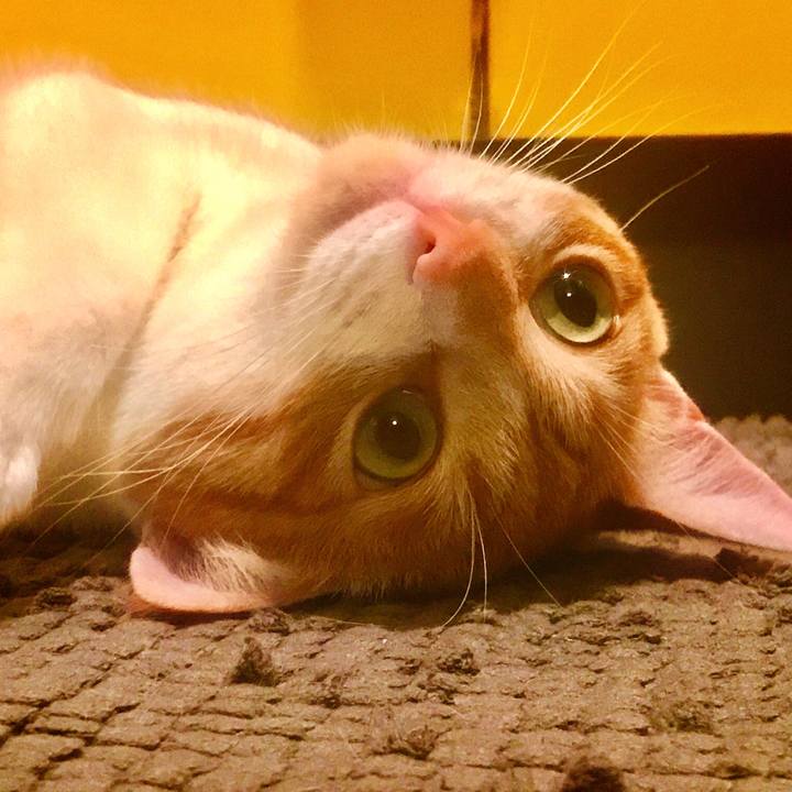 922644c8 62f8 4d2d 9629 4b43ebdb255c