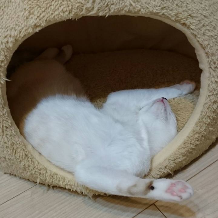 9226602b f87b 4615 999d 580732b6c778