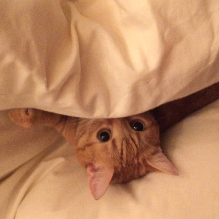 92266e76 d844 40ec 9a7f b212753b994f