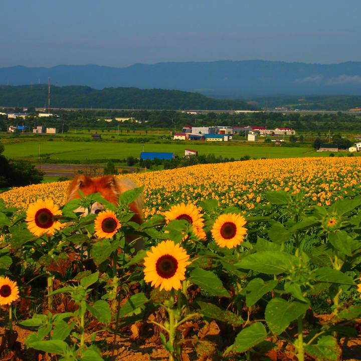 92267df1 6cc3 4664 acba e4fbc27762ec