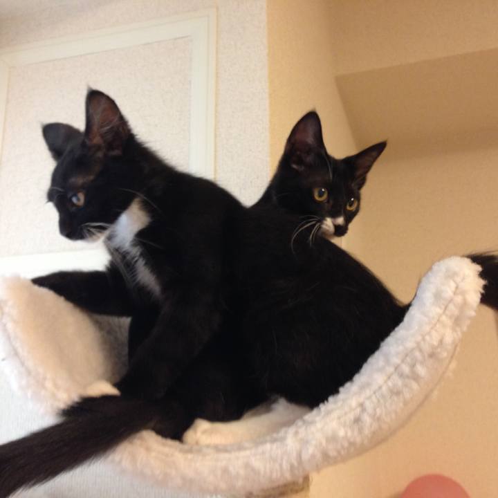 9226aeb1 abd0 438d bfd1 085224a87ca2