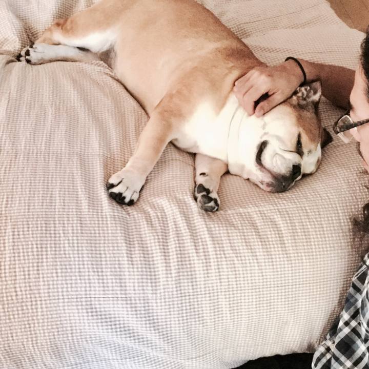 9226bc97 dacb 438a 9232 184a3209c035