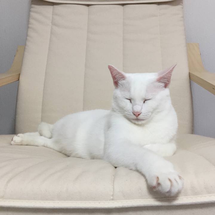 9227391e 5ad6 4fee 960c dd7fe619abdb