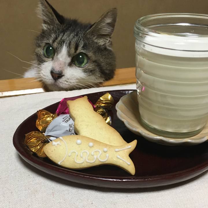 9228d80e 4372 4c94 97d5 043b2f150858