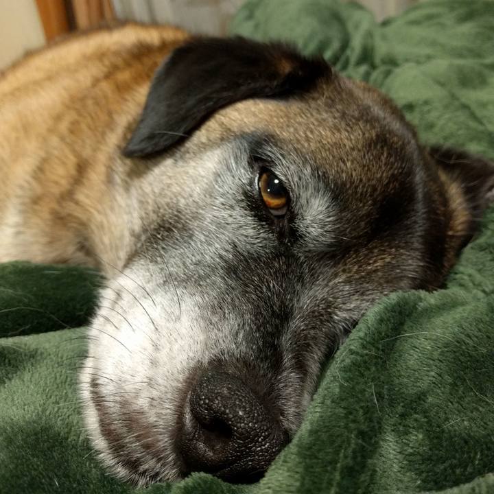 9228dd3a 6681 4489 bd2b 632229832084