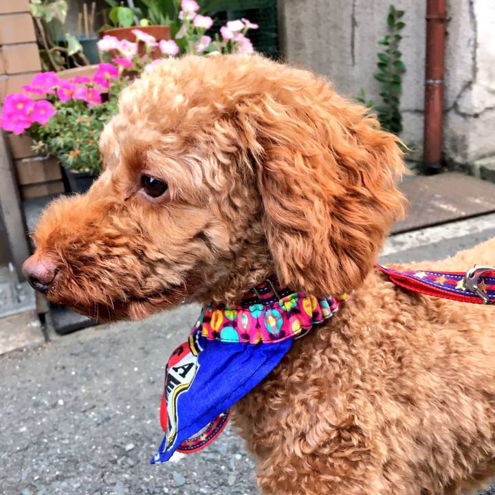 92292084 09f4 46ca b990 f25488e734b5