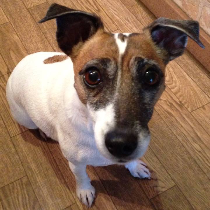 92294107 441a 4835 8741 92427c82d748