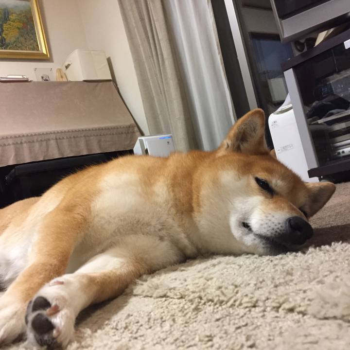 9229aac2 1432 4f3d ba2a 79ce2b34d5fb